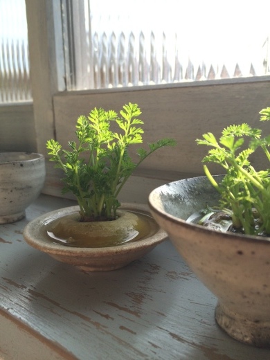 e0240612_20124358.jpeg