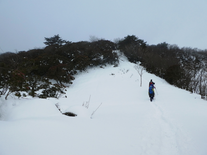 雪の養老山 (858.9M) 　下山 編_d0170615_13425227.jpg