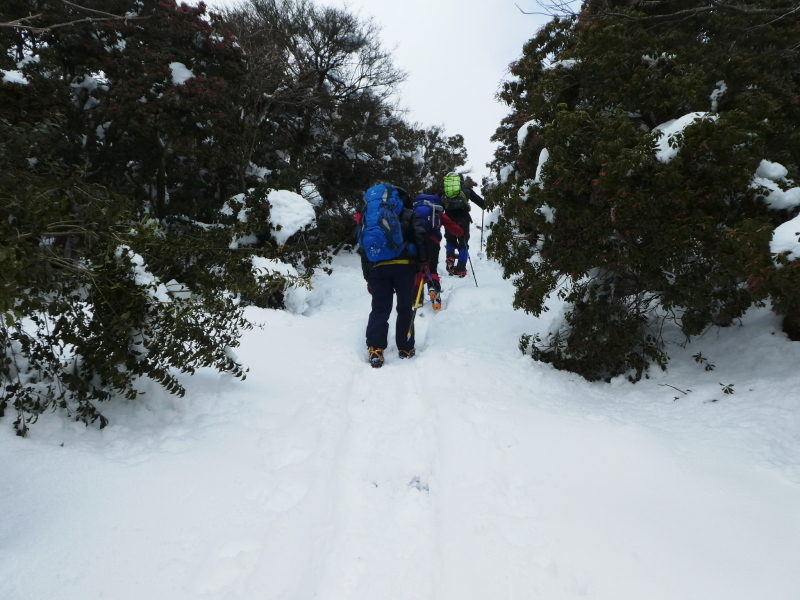 雪の養老山 (858.9M) 　下山 編_d0170615_13430937.jpg