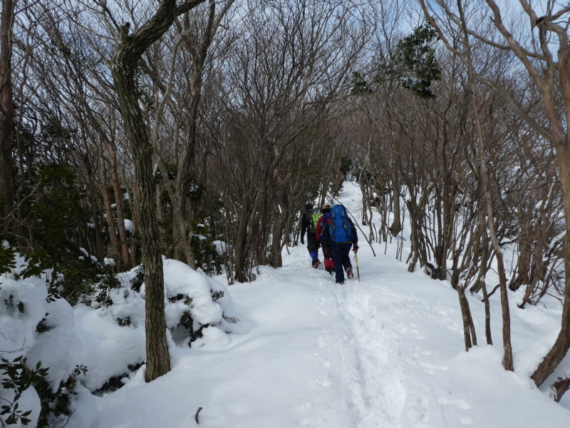 雪の養老山 (858.9M) 　下山 編_d0170615_13440786.jpg