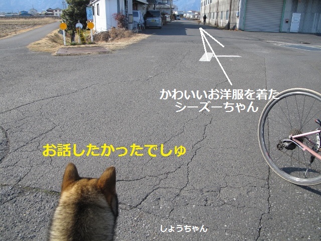 f0143123_10001611.jpg