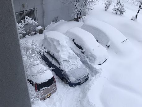 金沢の大雪、干し大根のこと、署名のこと_e0108126_13513467.jpg