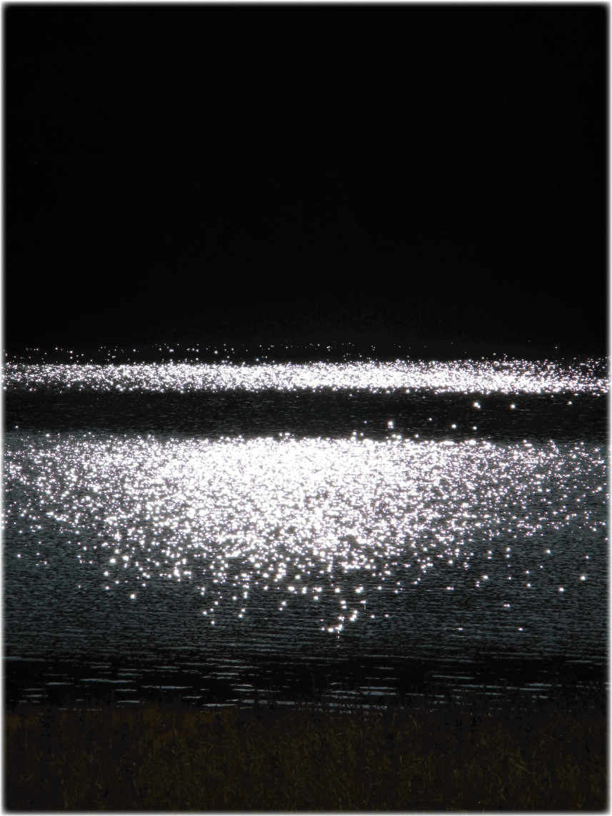 c0107829_23045822.gif