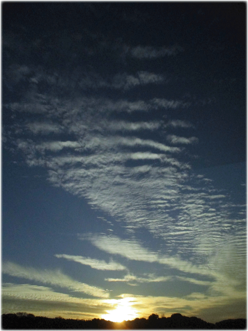 c0107829_23053077.gif