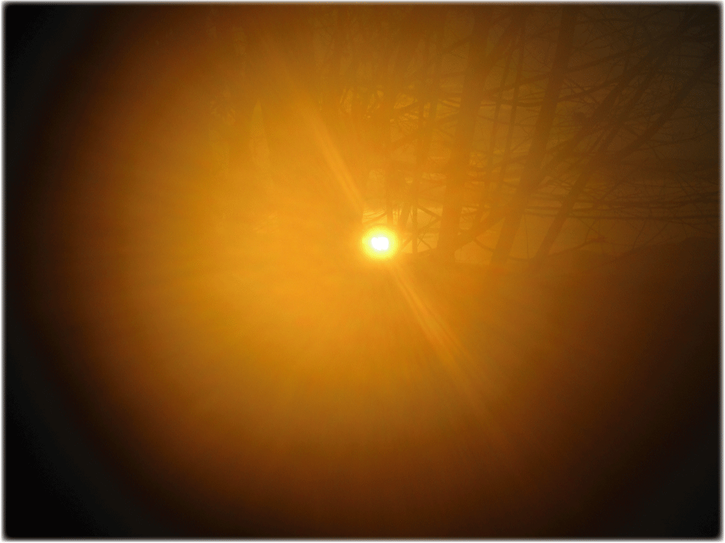 c0107829_23062907.gif
