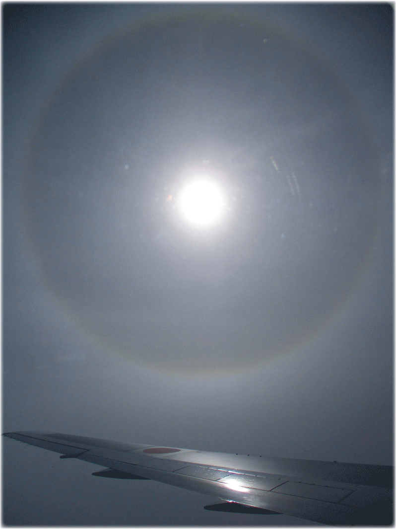 c0107829_23511697.gif