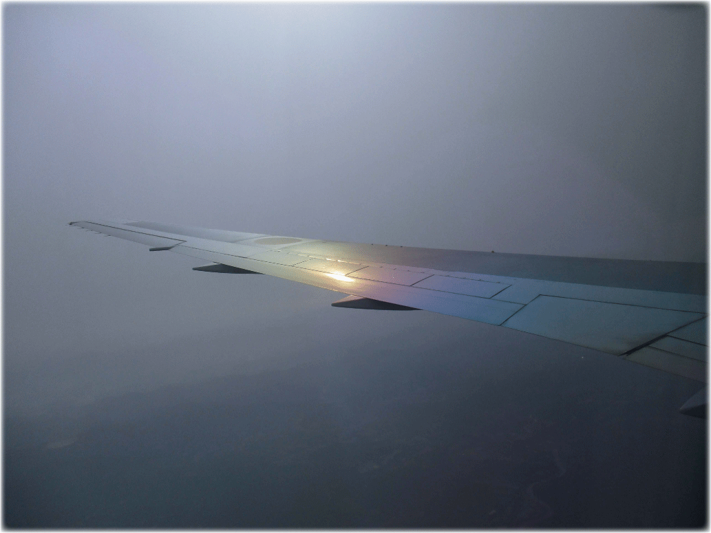 c0107829_23512823.gif