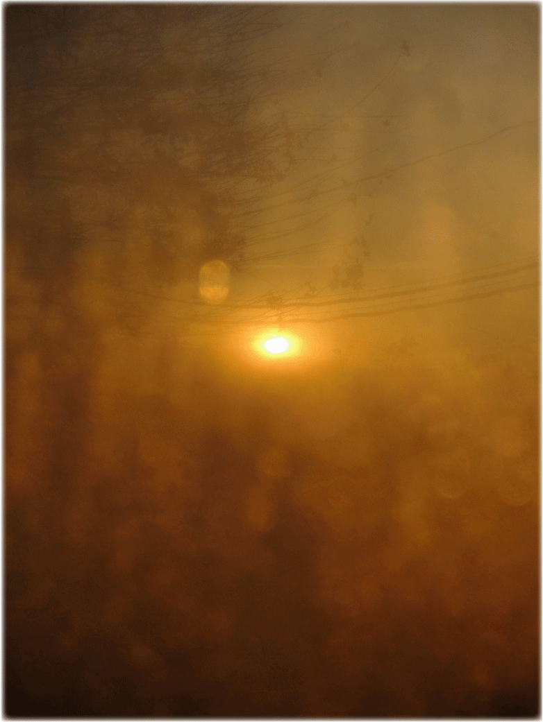 c0107829_23513938.gif