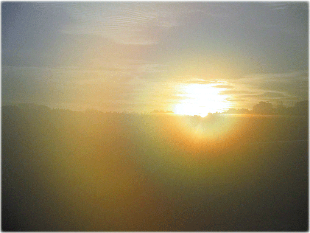 c0107829_23520289.gif