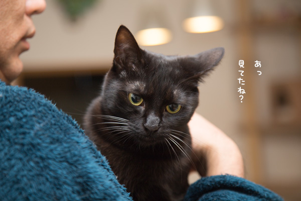 なんでかしら?_d0355333_23033774.jpg