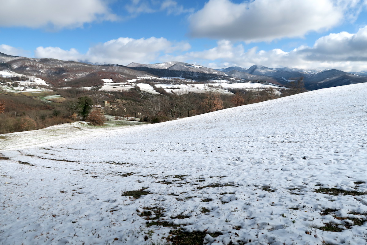 ローズマリー咲く花に雪、イタリア トスカーナ_f0234936_528820.jpg
