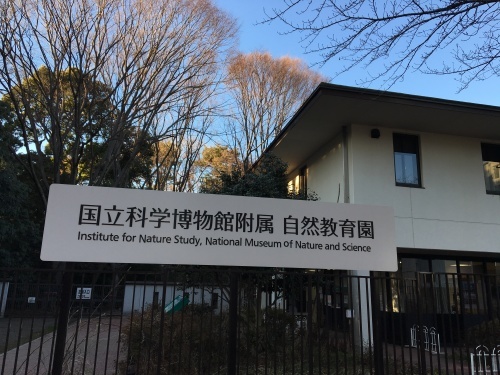 b0330040_13115075.jpeg