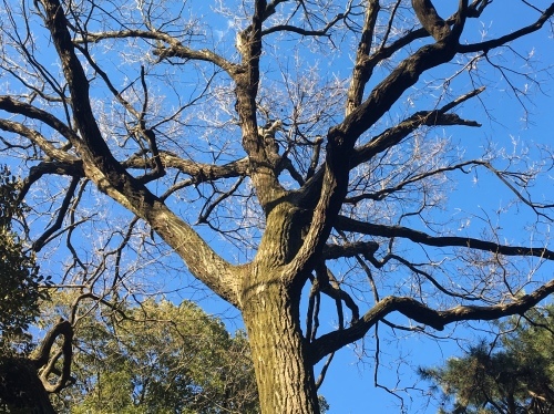 b0330040_13151215.jpeg