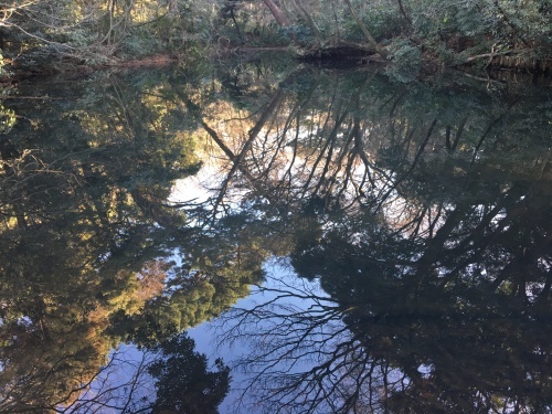 b0330040_13183202.jpeg