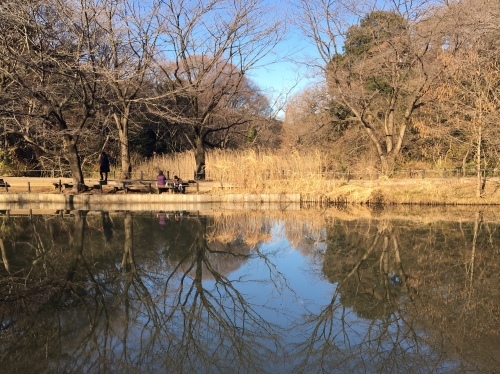 b0330040_13222218.jpeg