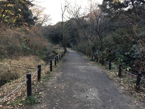 b0330040_16311484.jpeg