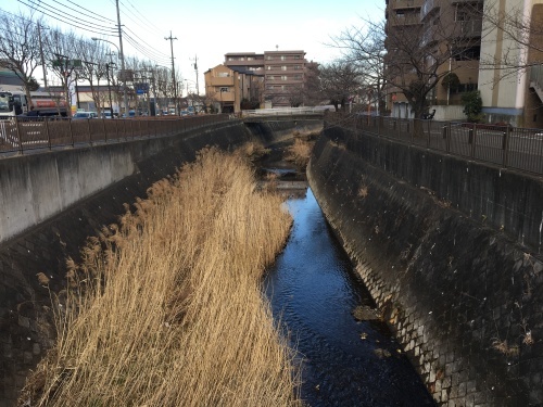 b0330040_23181018.jpeg