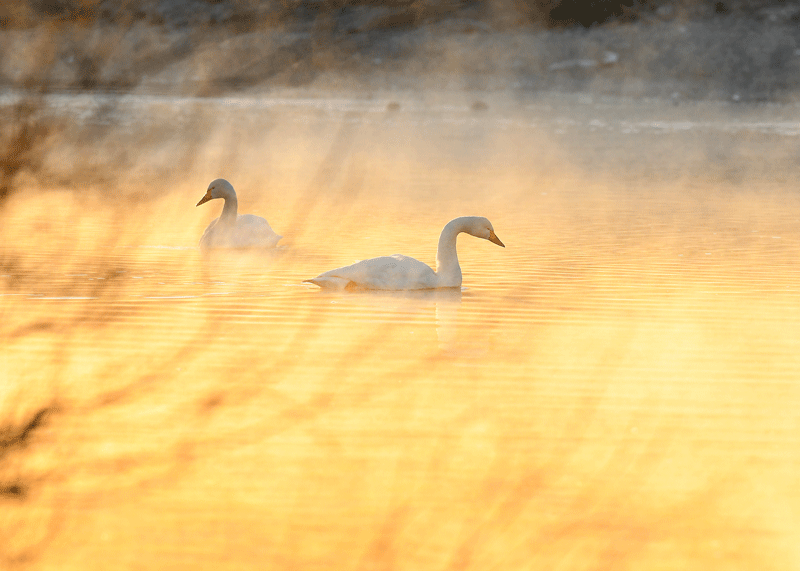 d0290240_19465081.gif
