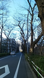 b0080342_16404795.jpg