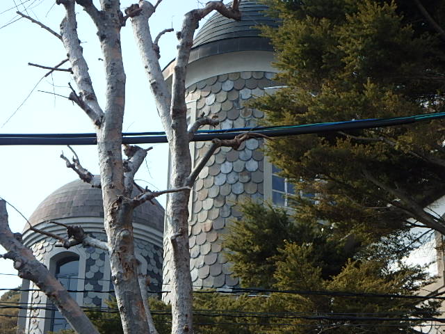 f0334143_23121100.jpg