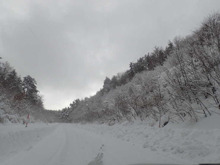 雪原歩き_f0214649_05550921.jpg