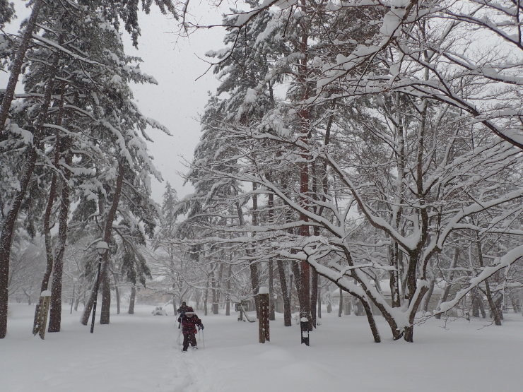 雪原歩き_f0214649_05555366.jpg