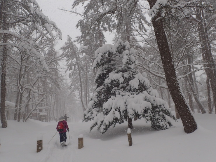 雪原歩き_f0214649_06032551.jpg