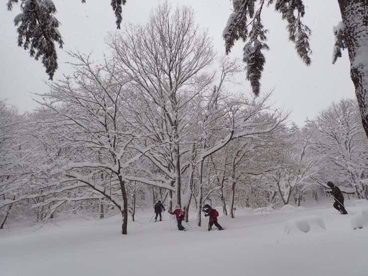 雪原歩き_f0214649_06043457.jpg