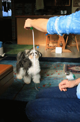 c0145250_09351282.gif