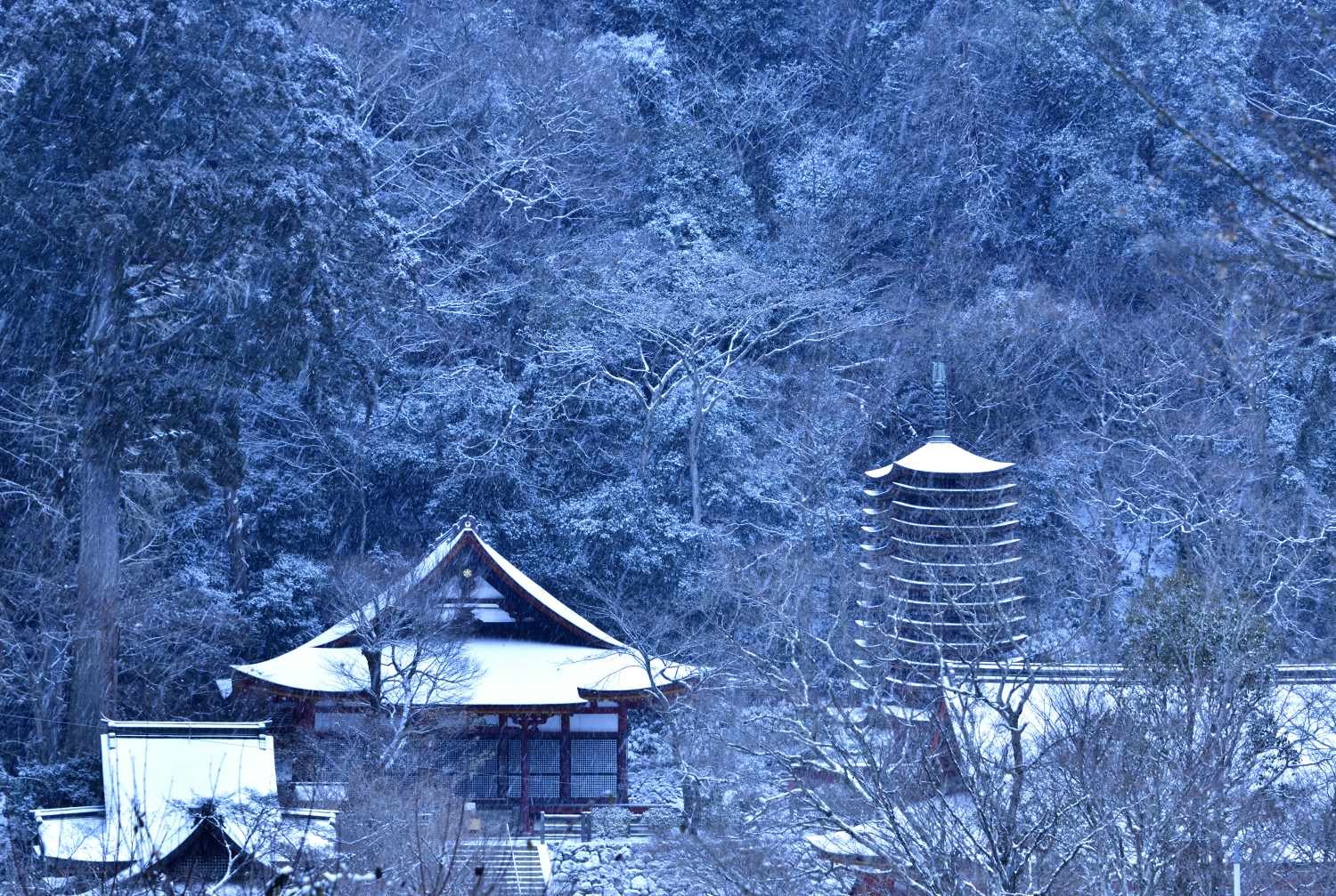 雪景色 5　　　奈良県_d0286954_07470158.jpg