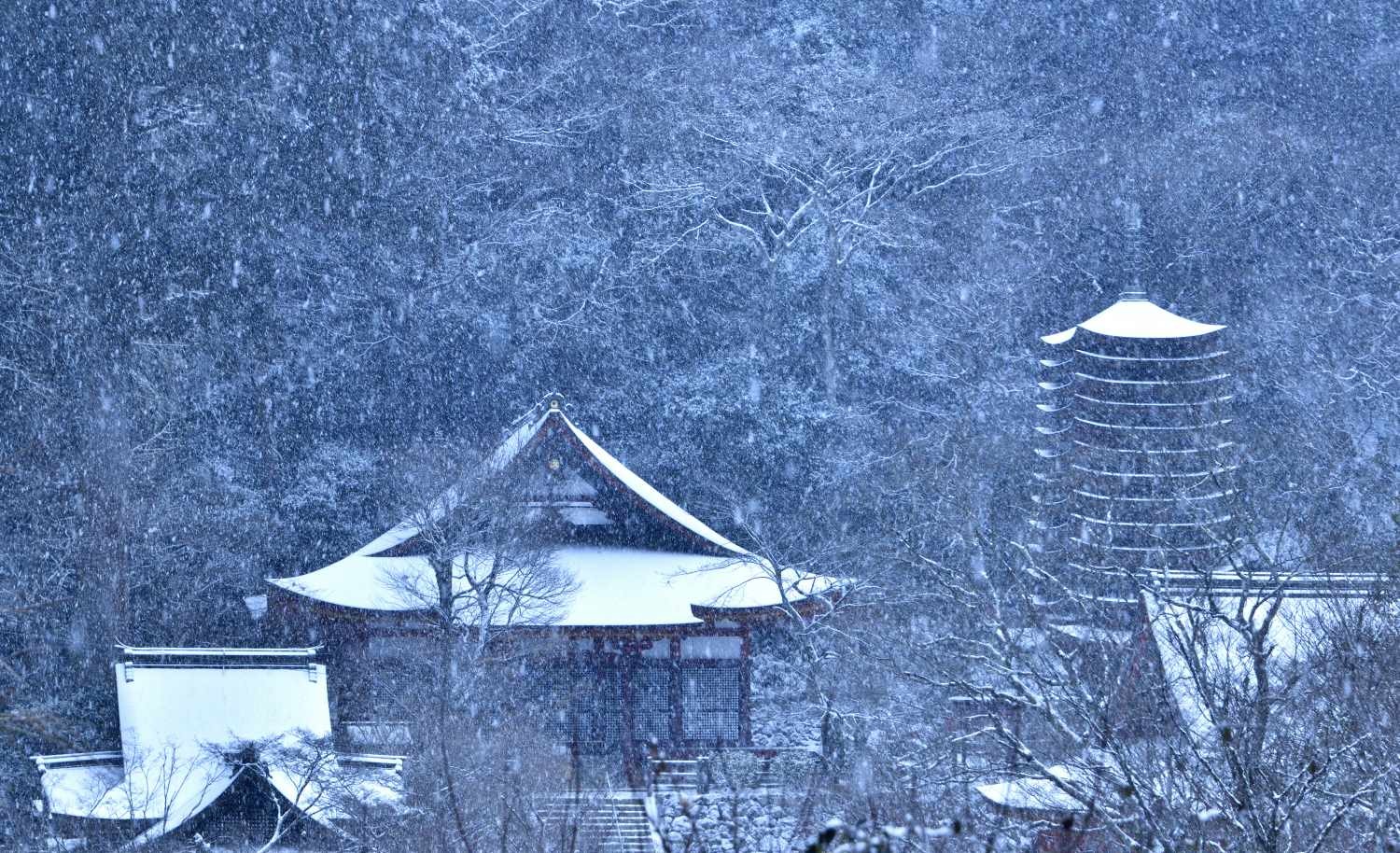 雪景色 5　　　奈良県_d0286954_07470780.jpg