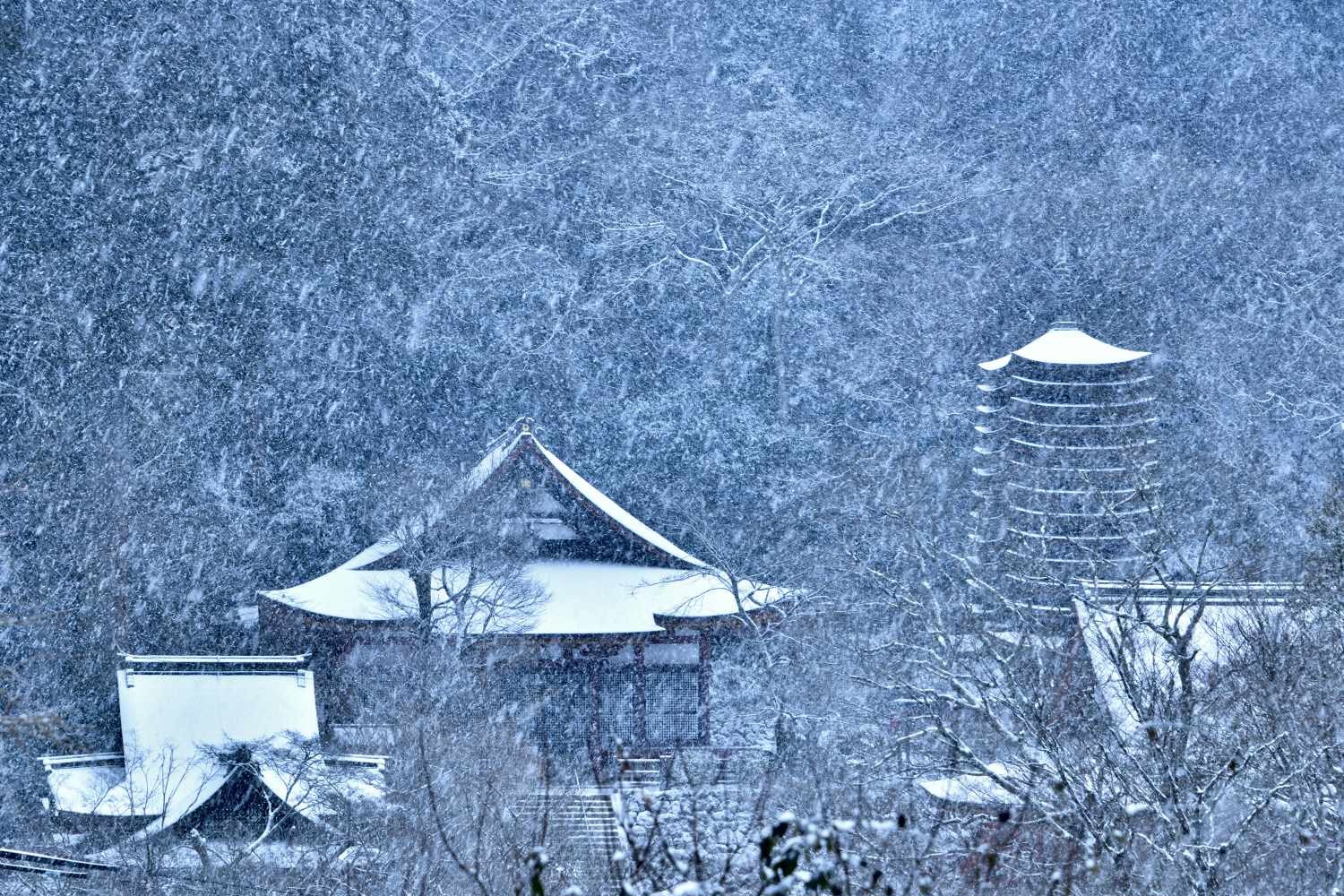 雪景色 5　　　奈良県_d0286954_07471372.jpg