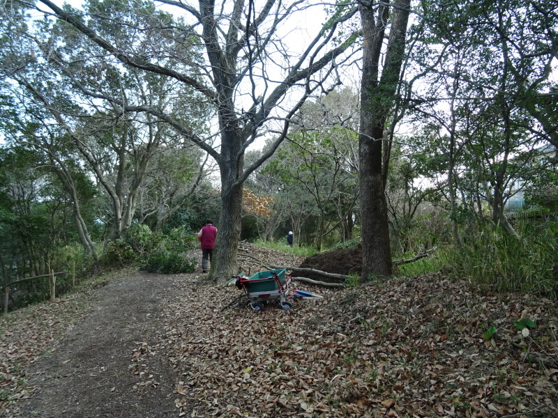 c0108460_21003787.jpg