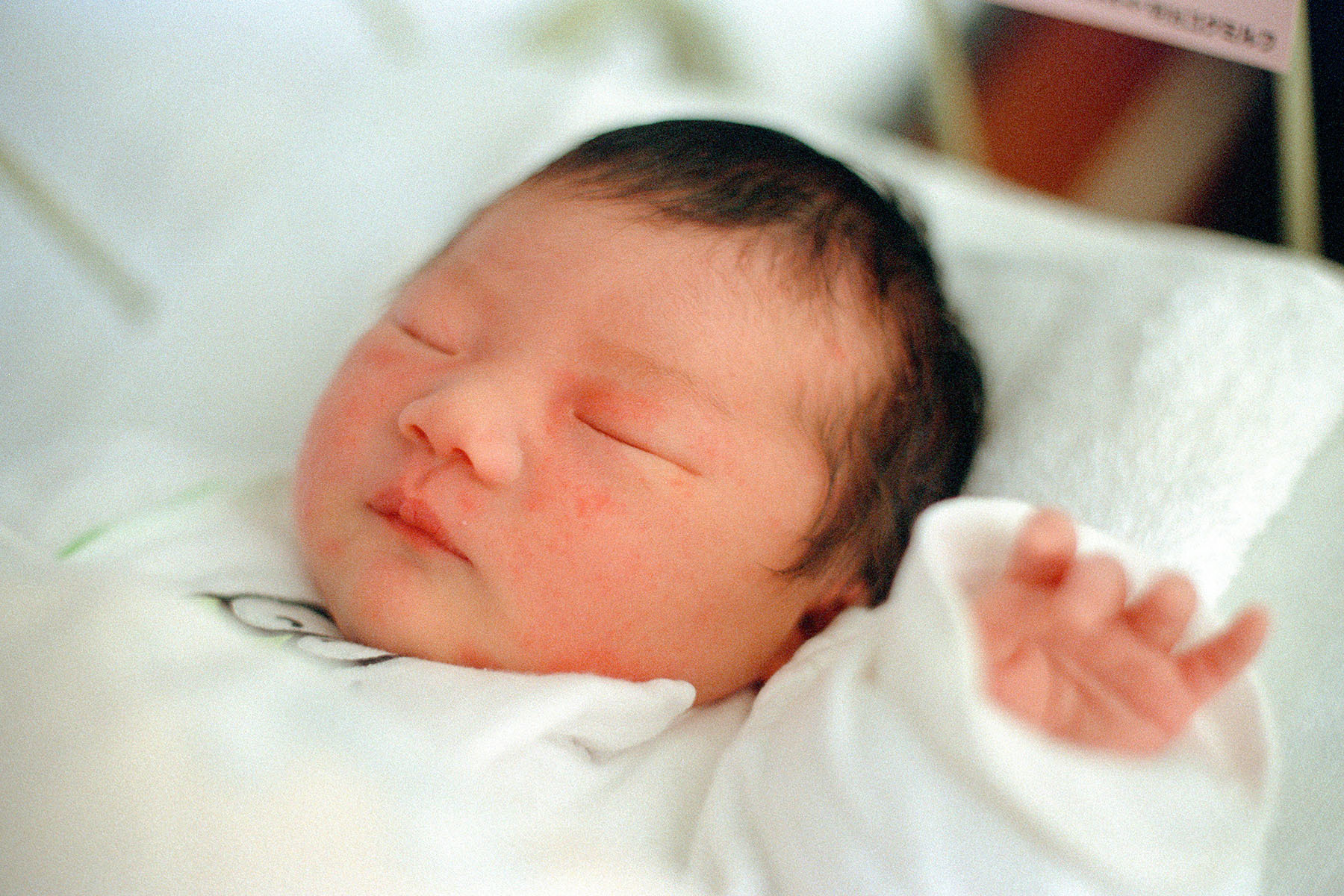 c0028861_23090016.jpg