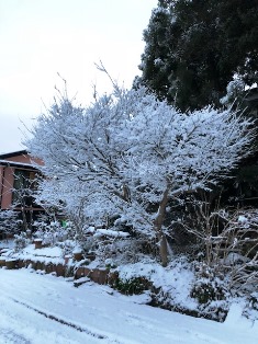 f0152061_1625517.jpg