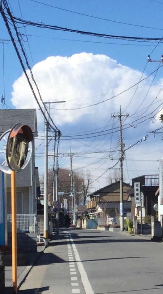 a0053063_18321941.jpeg