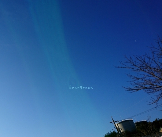 d0362666_08231527.jpg