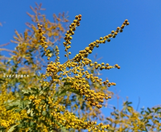 d0362666_17114309.jpg