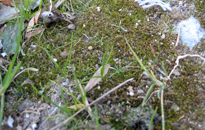 b0057679_09371870.jpg