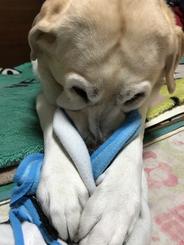f0315081_22160806.jpeg
