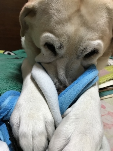 f0315081_22162998.jpeg