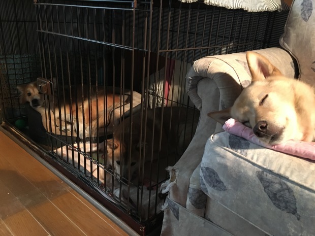 b0377882_18100226.jpeg