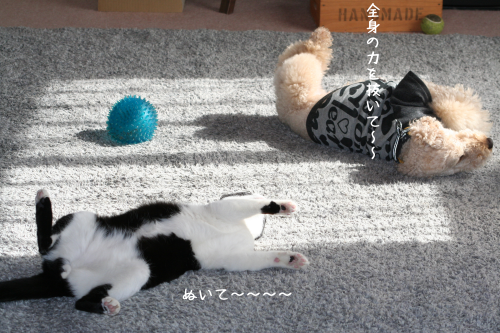 a0216583_10453655.png