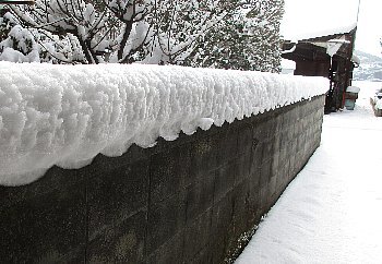 f0003283_17333001.jpg