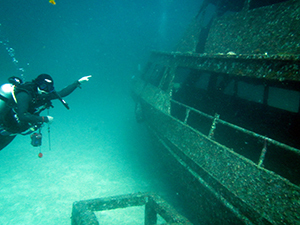 f0144385_21085719.jpg