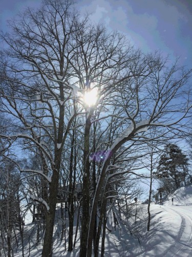 c0223286_00102700.jpg