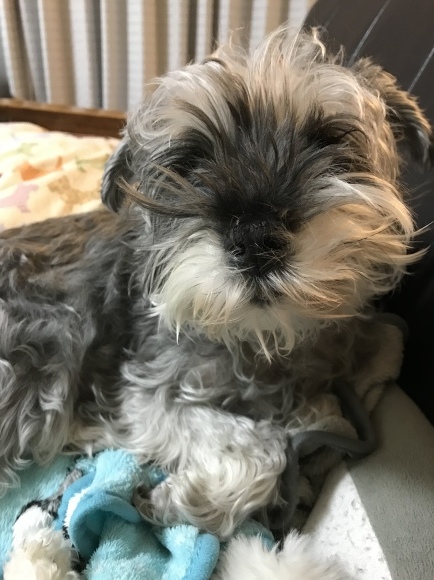 b0188998_13224356.jpeg