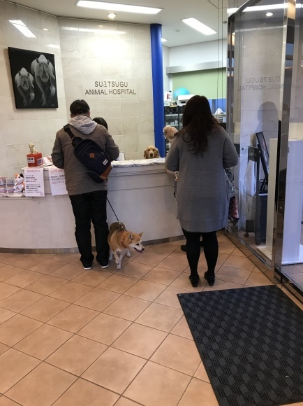 b0188998_13241032.jpeg