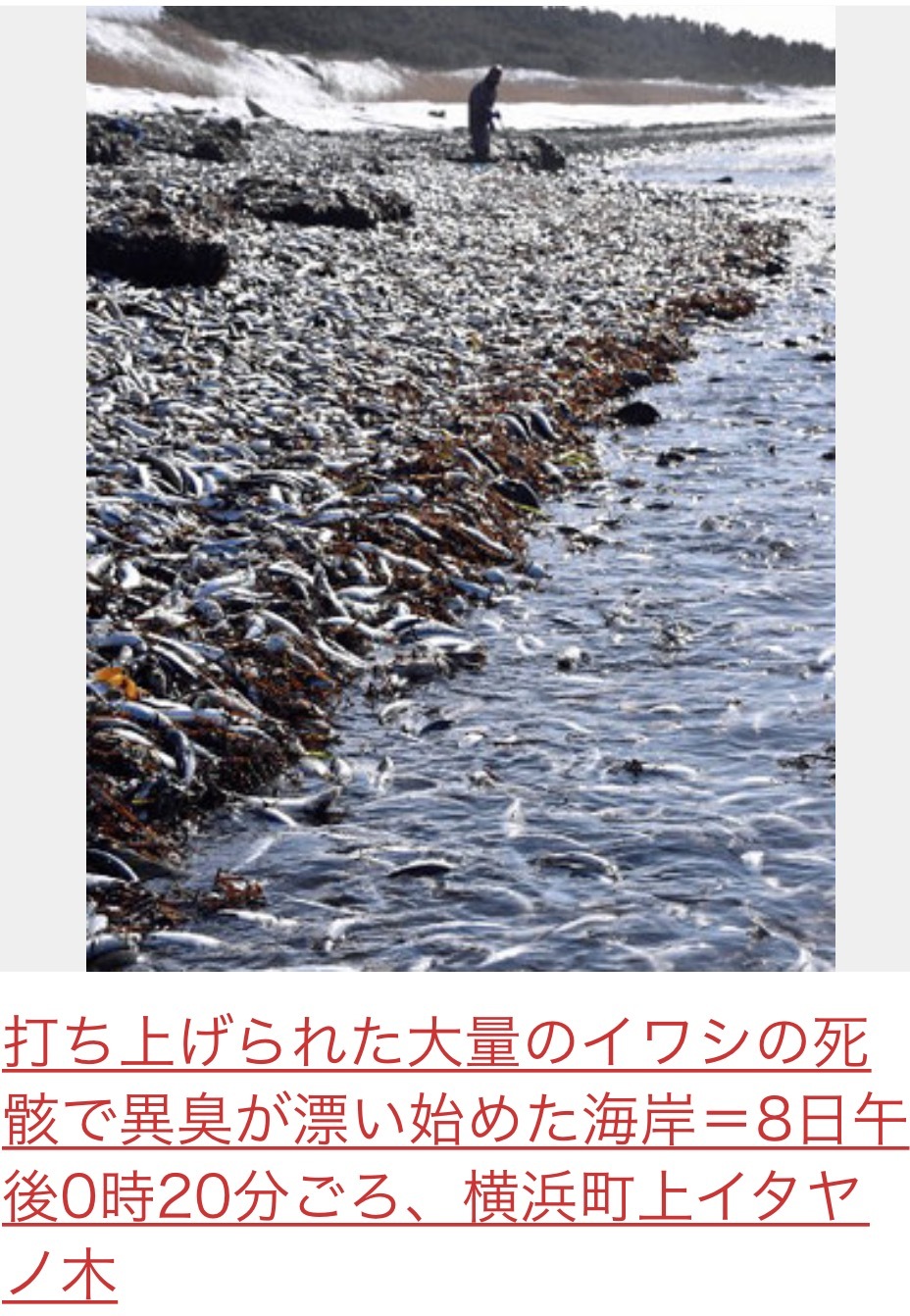 b0301400_22325813.png