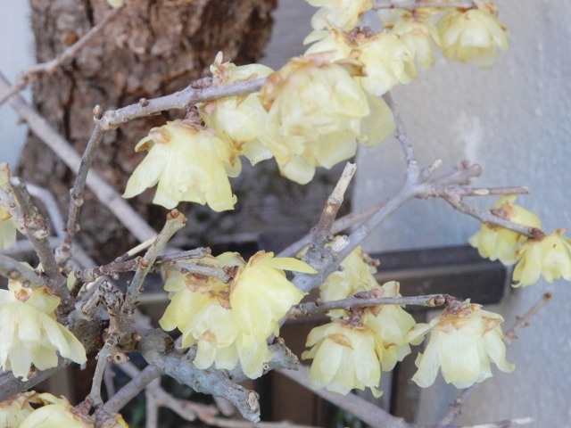 e0025300_22442487.jpg